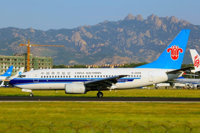 Boeing 737 MAX Coming Back? China Southern Adds Two Flights To Schedule Airlines stick net zero target despite green fuel doubts