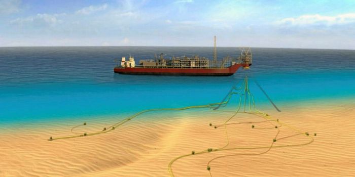 A Historic Move with Woodside Energy, enables Senegal First Oil from ... Woodside energy seeks arbitration dispute with senegal