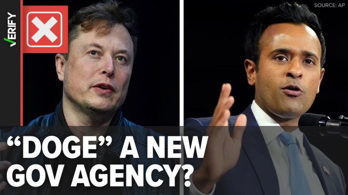 Elon Musk Joins Trump’s New DOGE Squad to Curb Government Spending Doge musk federal workers government
