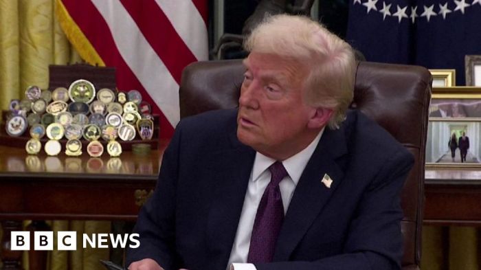 Trump plans for gaza freedom zone