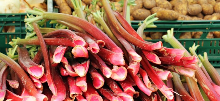 Farmers eu raise alarm over mercosur ukraine trade deals