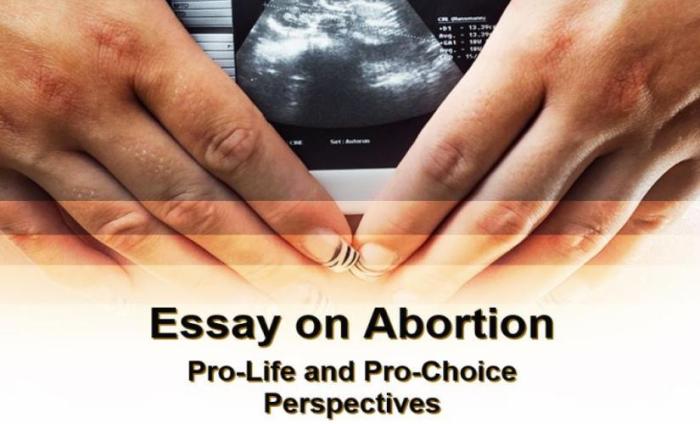 Essay on Abortion: Pro-Life and Pro-Choice Perspectives – Wr1ter Third trimester abortion care realities essay