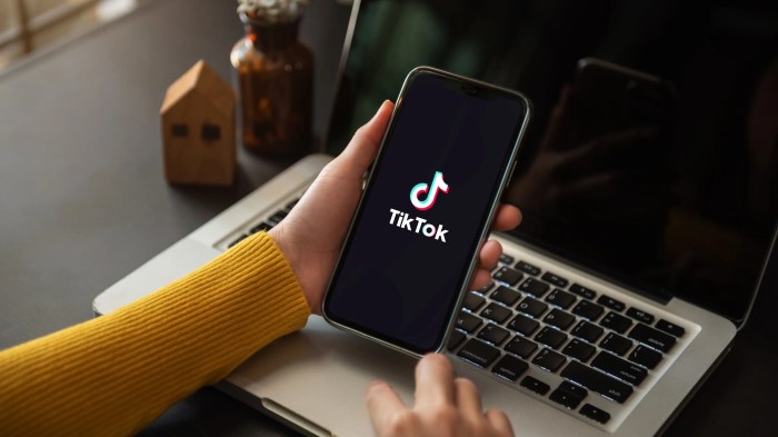 EU opens formal investigation into TikTok over possible online content ... Czech watchdog launches formal probe into collusion heat power plant auction