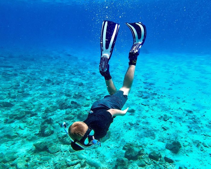 French polynesia announces new marine protected area