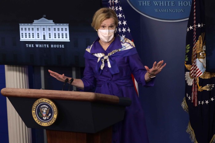 Birx Issues Blunt Coronavirus Warning Starkly at Odds With Trump - The ... Pepfar trump deborah birx interview