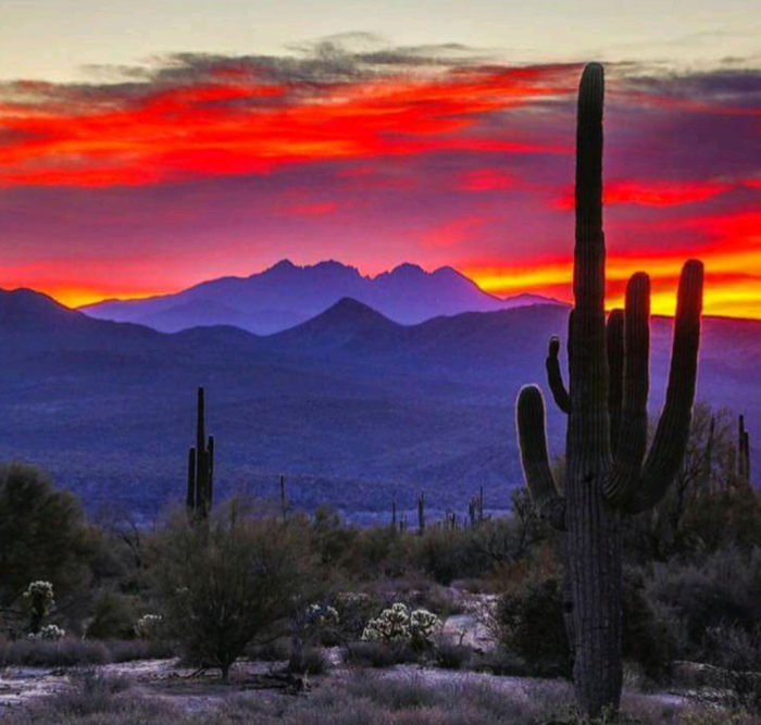 A beautiful sunset in Mesa, Arizona. I get to see this everyday and it ... Super regionals roundup arizona completes series comeback against no 5 north