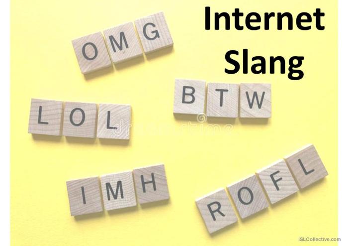 Roblox Slang Words – What Your Kids Are Really Saying Trump taco acronyms meaning dei doge maha fafo tds