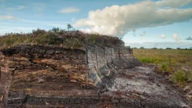 Irelands peat bogs climate action clashes with tradition