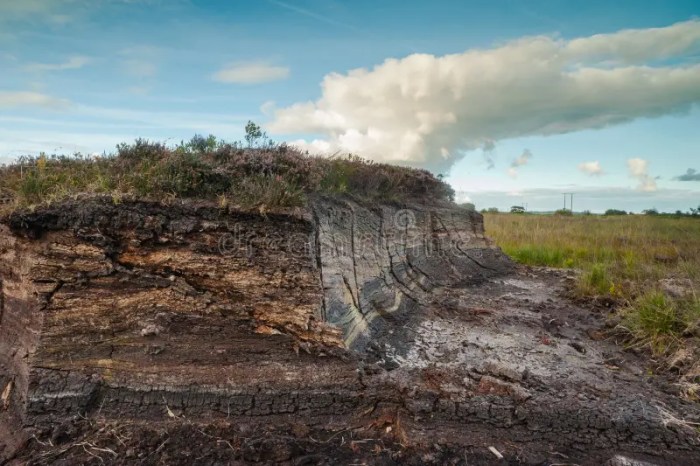 Irelands peat bogs climate action clashes with tradition