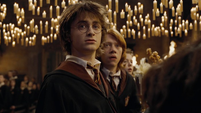 The Rumored Cast of the New HBO Harry Potter TV Series Has Been ... Harry potter hbo series cast actors new announcements full list