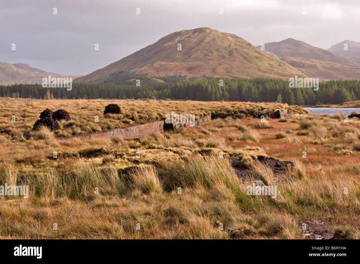 Peat bog ireland hi-res stock photography and images - Alamy Irelands peat bogs climate action clashes with tradition
