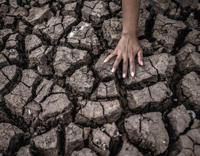 Protecting species from extinction is not enough – Green Reporter What we really need in the fight against extinction