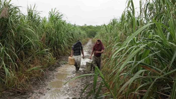 Mexican authorities seize more than 3 million liters stolen fuel