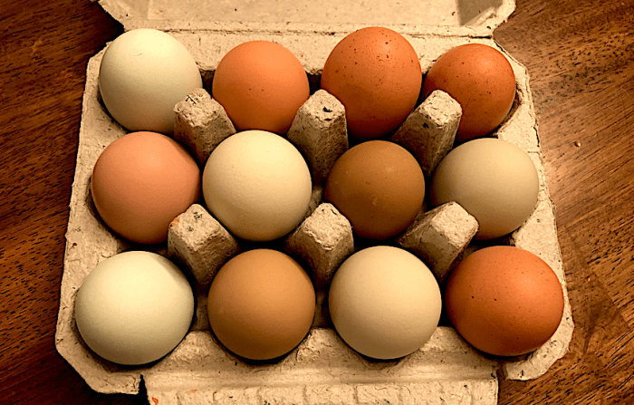 Why Are Eggs So Expensive? | The Epoch Times Why eggs are so expensive right now