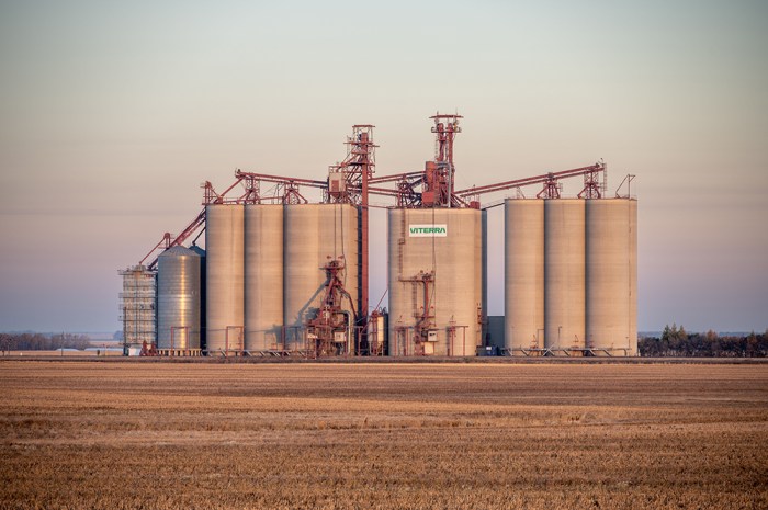 Egypts new grains buyer struck rare deal french wheat sources say