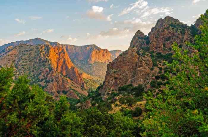 12 AMAZING Facts About Big Bend National Park National guard deployed los angeles amid protests against immigration raids