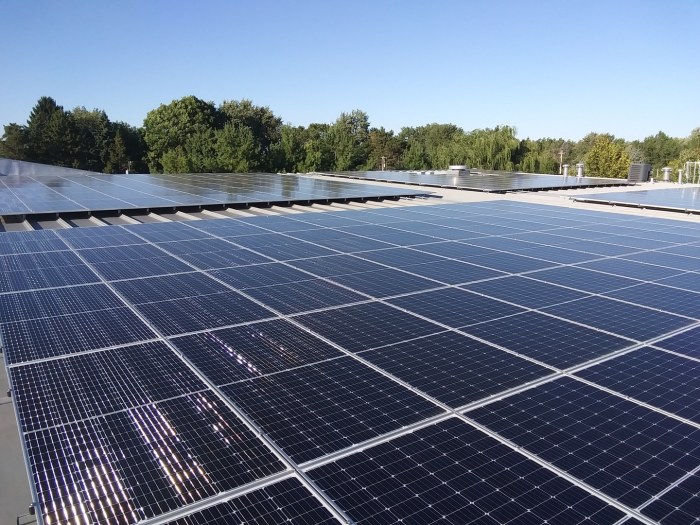 Tariff uncertainty wont affect holcims us expansion ceo says