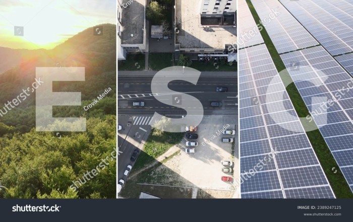 Sustainable switch la protests s esg