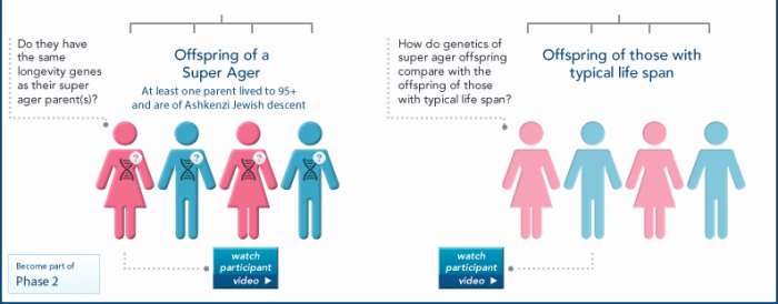 About the Study | Longevity Genes Project | Institute for Aging ... Genes vs lifestyle longevity study