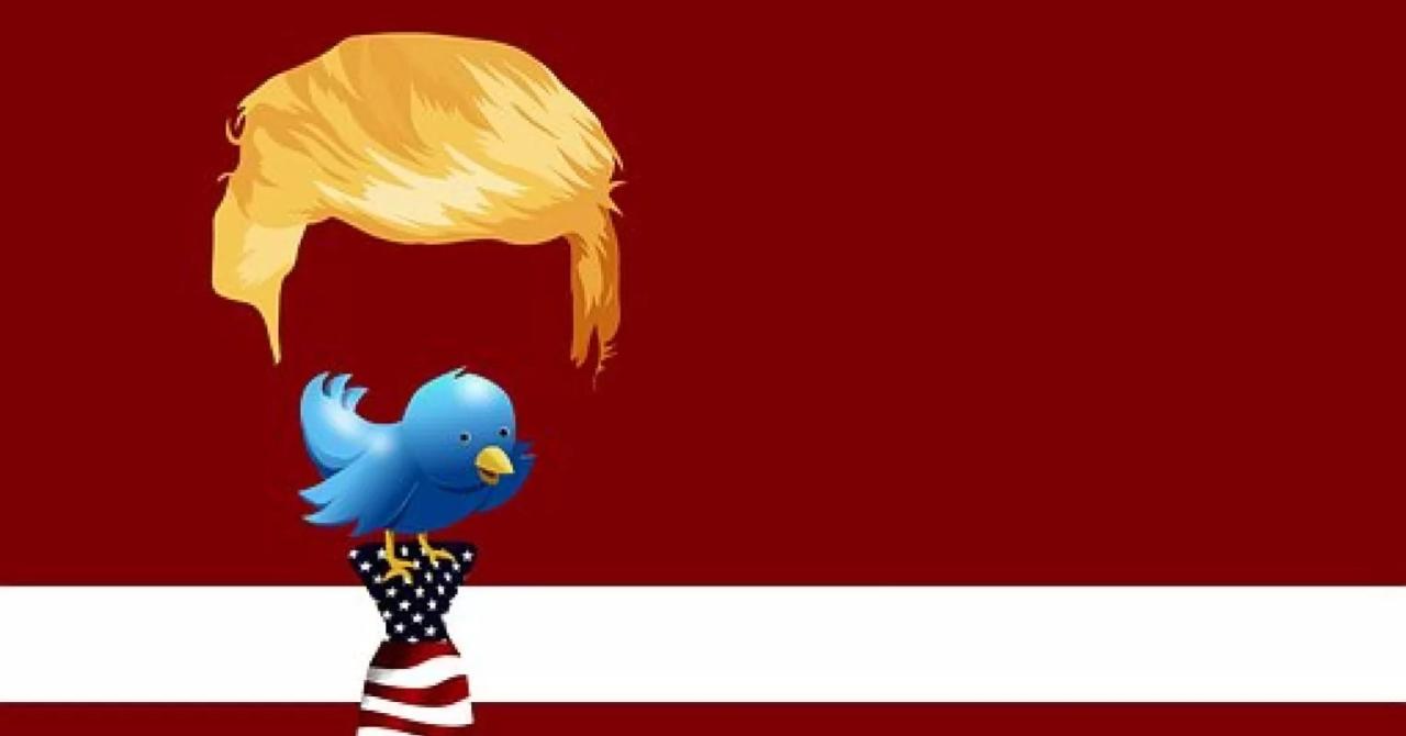 History harvard donald trump wrong
