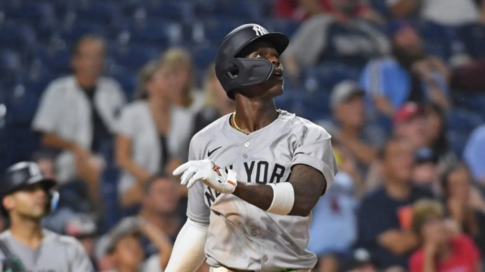 Yankees reinstate 2b jazz chisholm jr rhp fernando cruz il