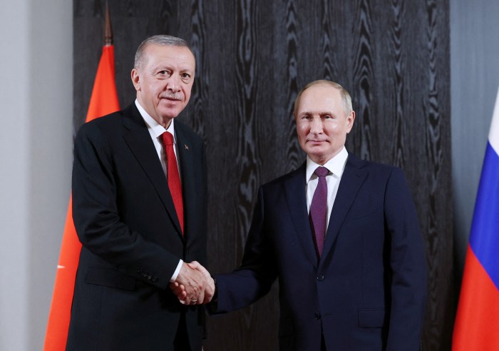 Erdogan says russias proposal istanbul talks heightens hope peace