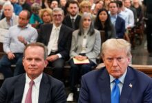 Trumps steel tariff plan have minor impact india says minister