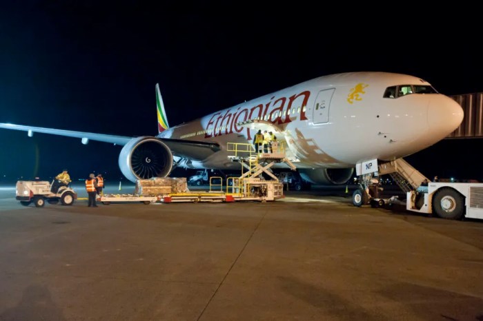 The Impressive Rise Of Ethiopian Airlines Ethiopian airlines considering order least 20 regional jets ceo says