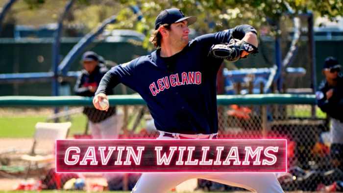 Gavin williams gem guides guardians past angels