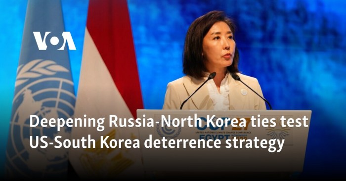 North korea criticises hostile monitoring groups report russia ties