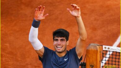 Alcaraz stops shelton returns french open quarter finals