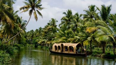 India cuts import tax crude edible oils govt order