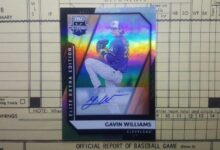 Gavin williams gem guides guardians past angels