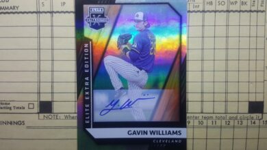 Gavin williams gem guides guardians past angels