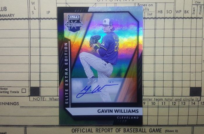 Gavin williams gem guides guardians past angels