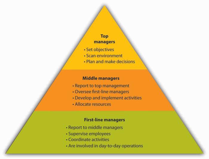 Reading: Organizing | Introduction to Business Trump administration report us child health cited nonexistent studies media
