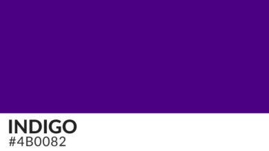 Indigo expands network with air france klm virgin atlantic delta deal