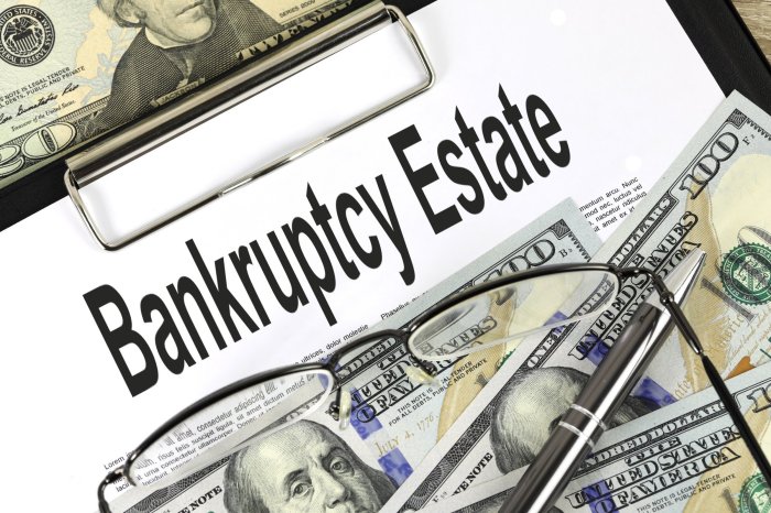 BC Court Rules that Transfer of Estate Assets to Alter Ego Trust is Not ... Alter ego claims bankruptcy estate lessons in re signia ltd