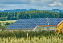 Gen z gender divide reshaping democracy