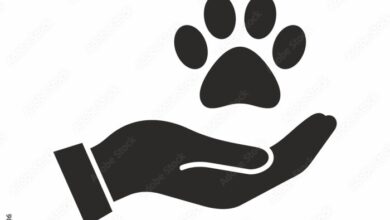 Pets home reports annual underlying profit line with expectations