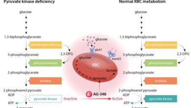 Rbcs profit jumps hsbc deal wealth management boost