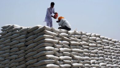 No imports needed indias wheat harvest defies market speculation