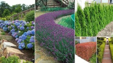 Hedge flow hedge fund investors want managers who trade macro says socgen survey