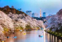 Japans government pledge nimble fiscal action policy guidelines