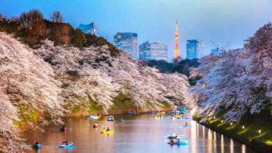 Japans government pledge nimble fiscal action policy guidelines