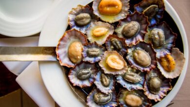 Portugal wants eu pressure reluctant france power connections