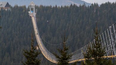 Most gulf markets rise early trade tracking firmer oil prices