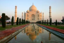 Indias steel ministry backs extending import curbs met coke source says