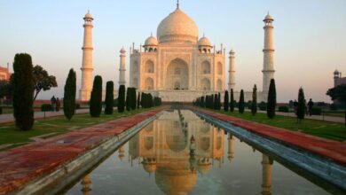 Indias steel ministry backs extending import curbs met coke source says