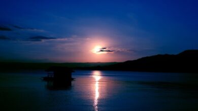 Blue jays need get bats going vs athletics
